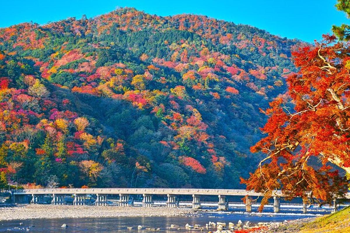 a train on a bridge over a river with a mountain