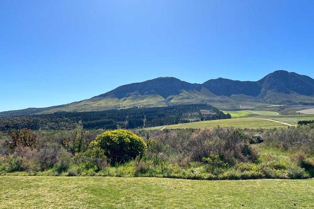 un campo d'erba con le montagne sullo sfondo