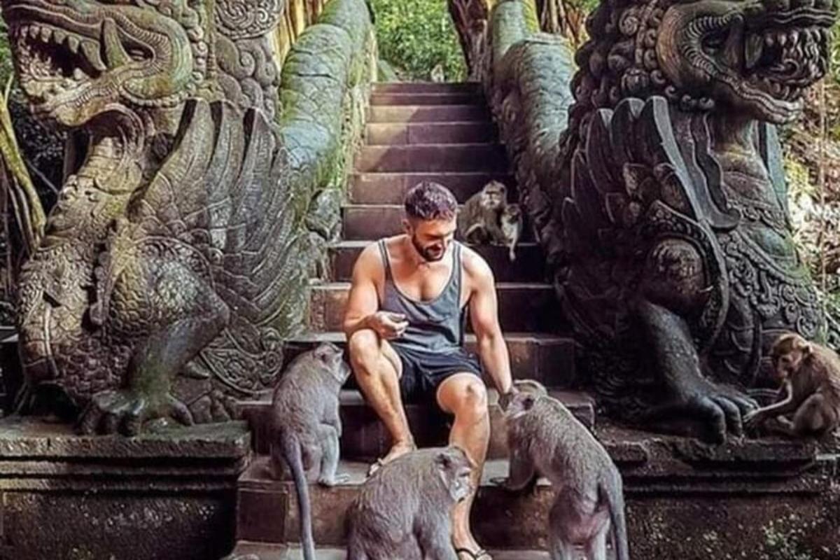 Un hombre sentado en unas escaleras con unos monos.