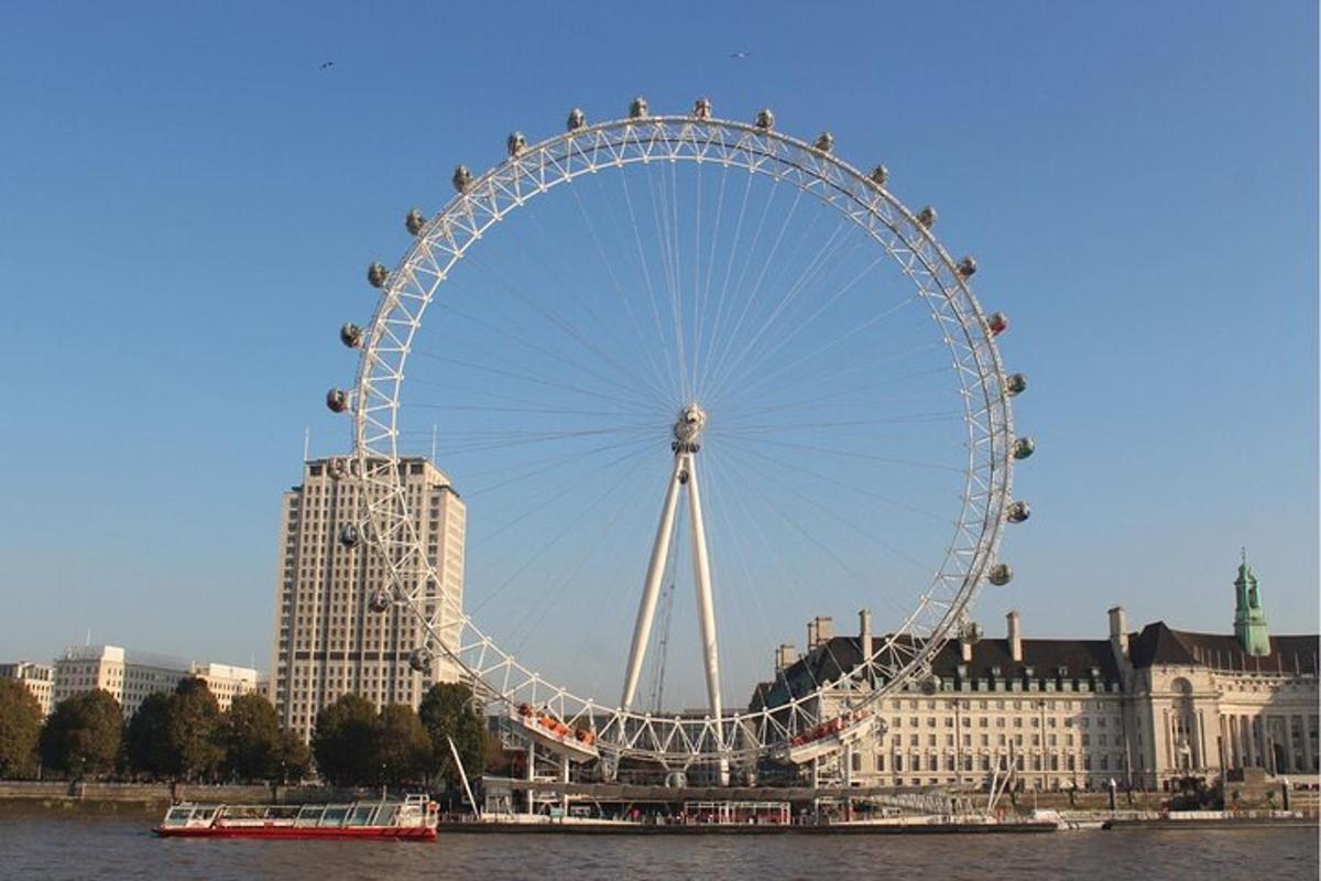 a large ferris wheel in front of a city