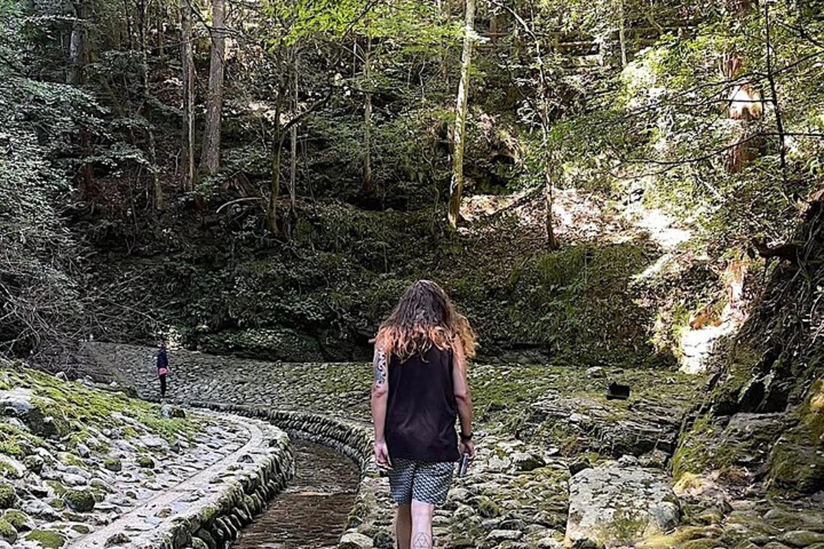 seorang wanita berjalan di jalan di dalam hutan