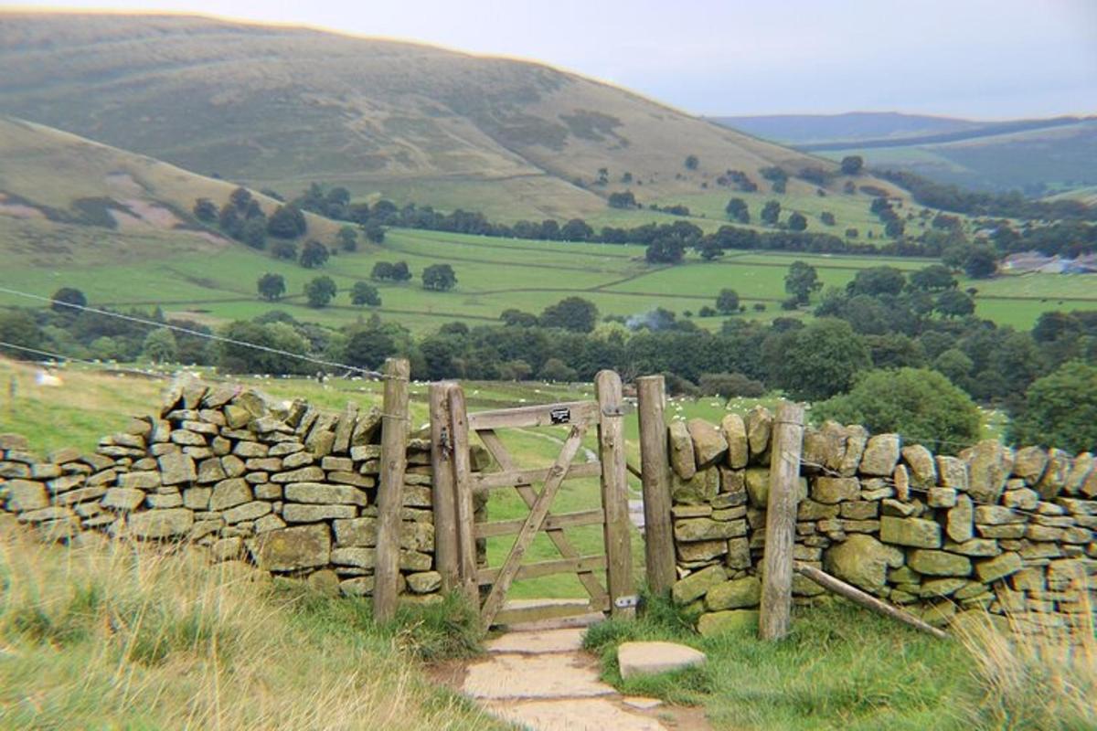 a stone fence and a gate in a field