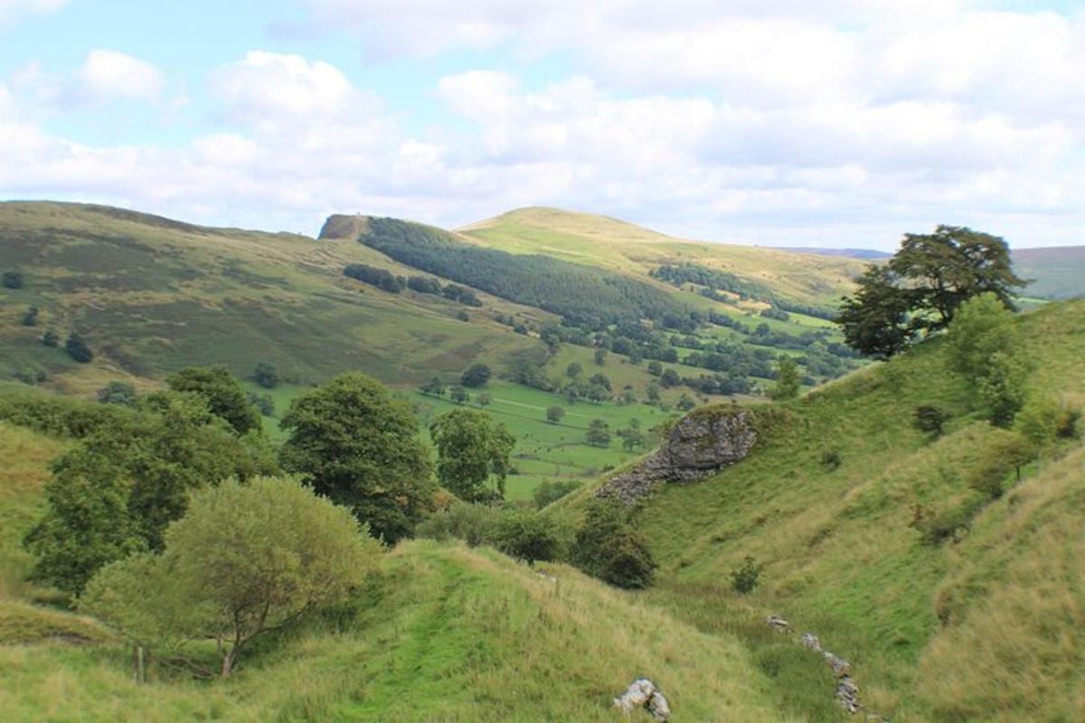 a view of a green hillside with trees