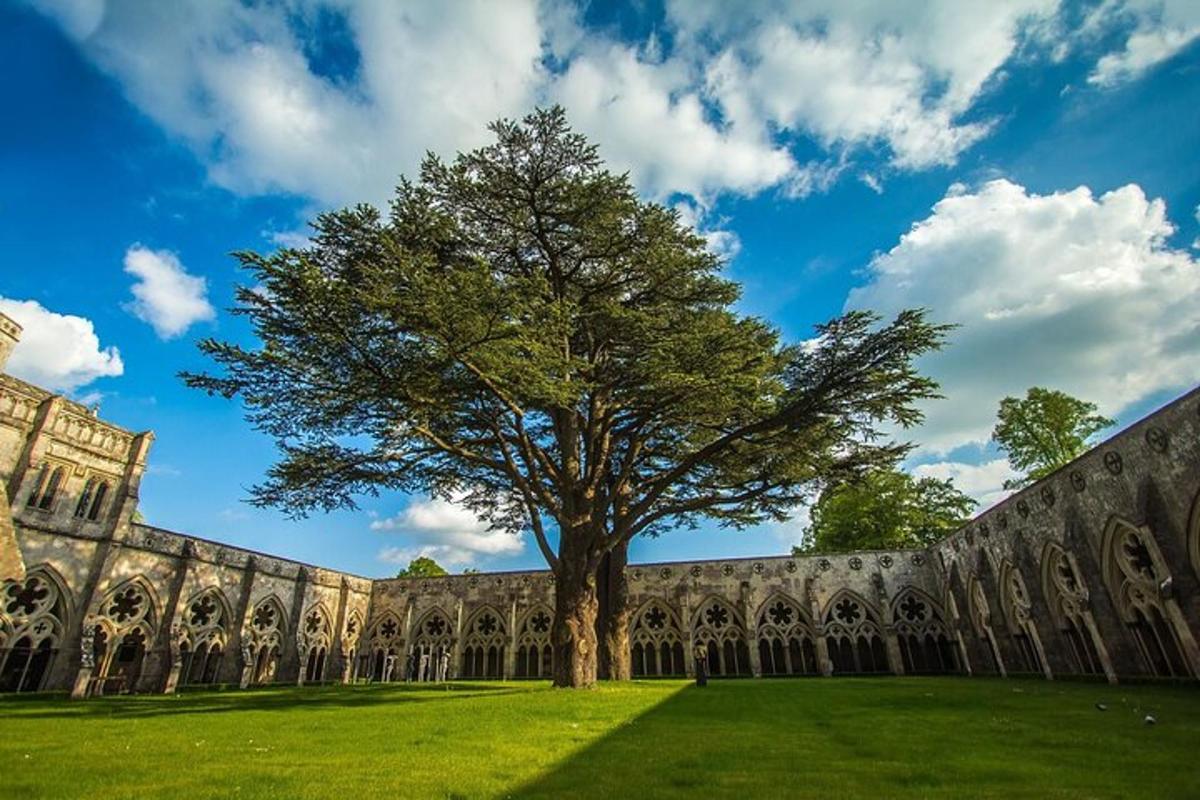 a tree in front of a large building