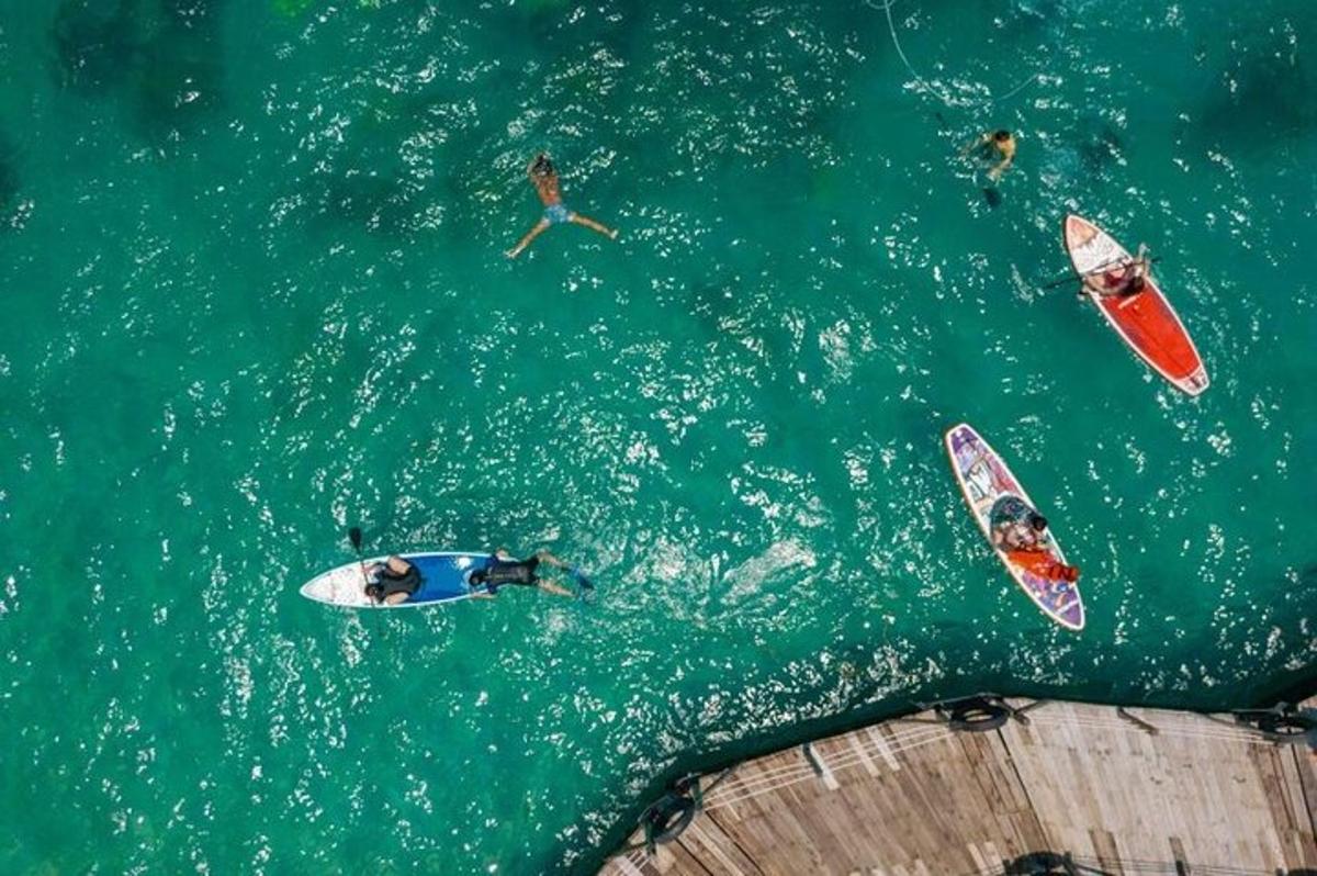 un gruppo di persone su tavole da surf in acqua
