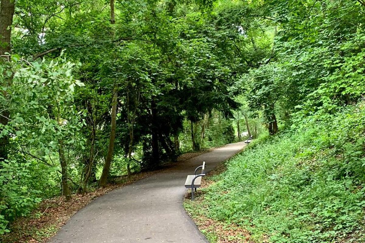 una panchina seduta su un sentiero in un parco