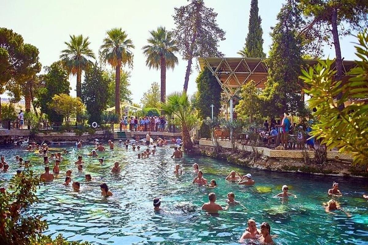 un grup de oameni care înoată într-o piscină