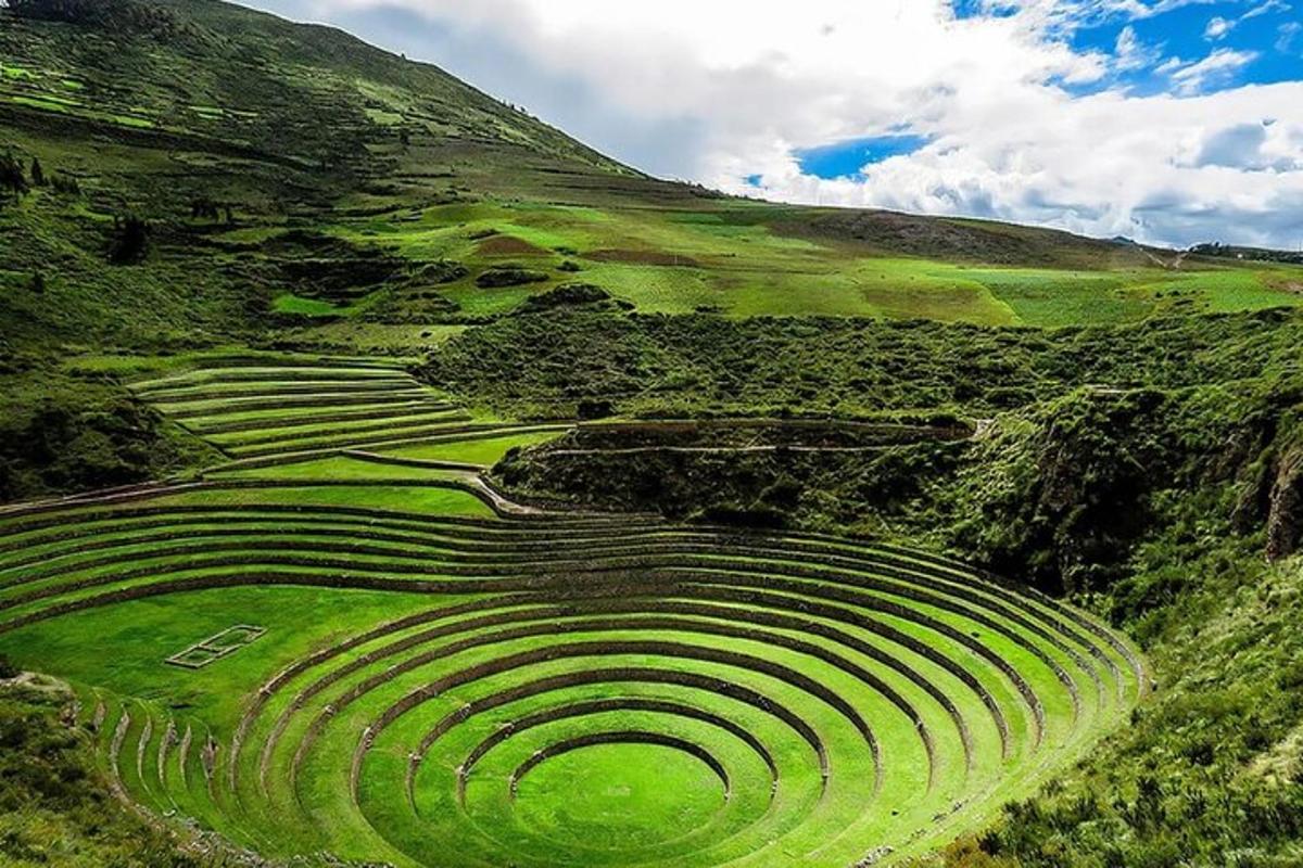 una vista aerea di un campo verde su una collina
