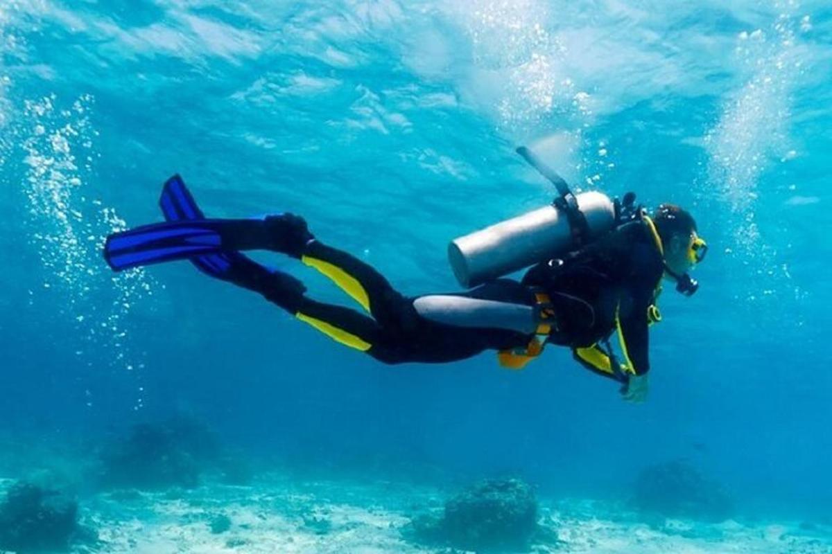 una persona in muta da sub in acqua