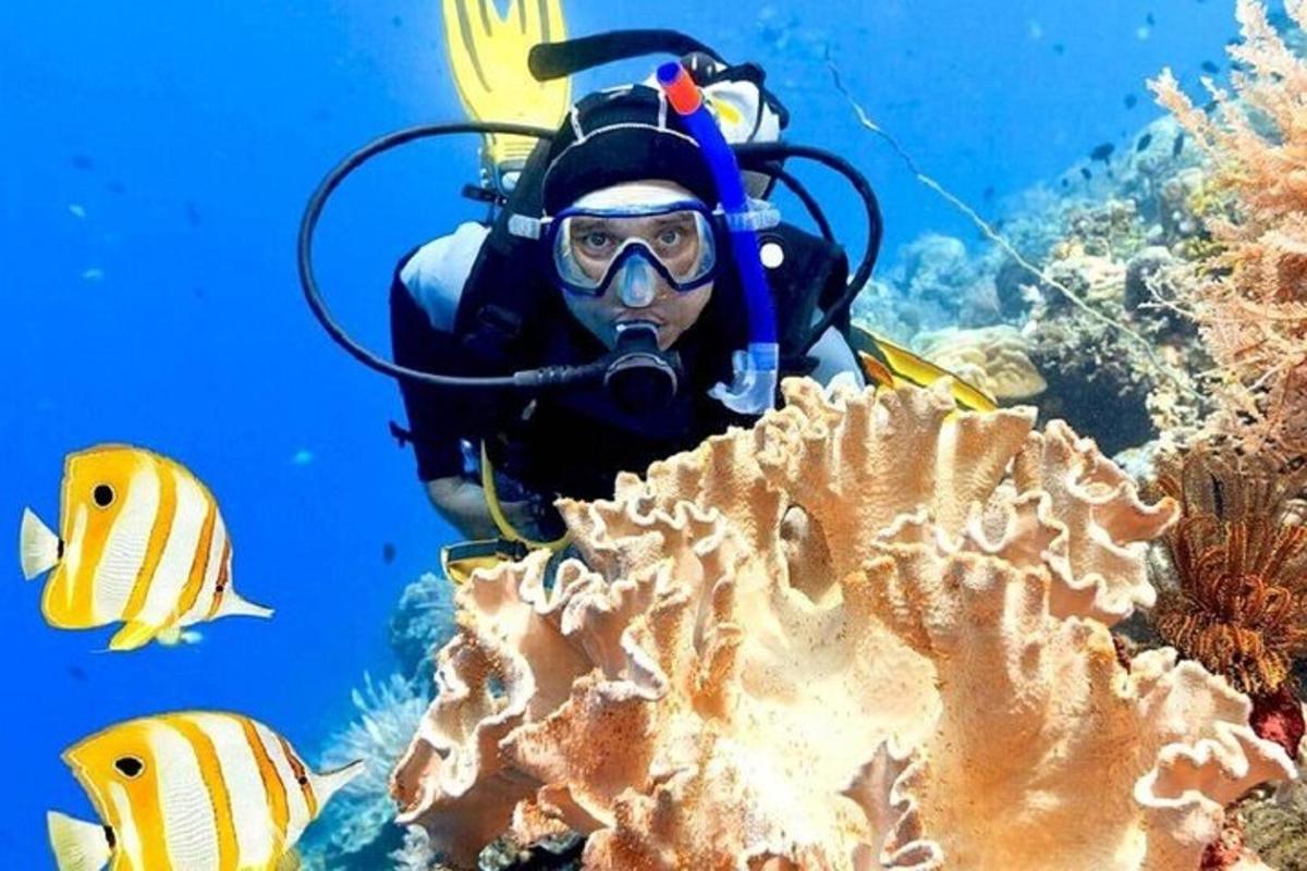 una persona con attrezzatura da sub e un corallo