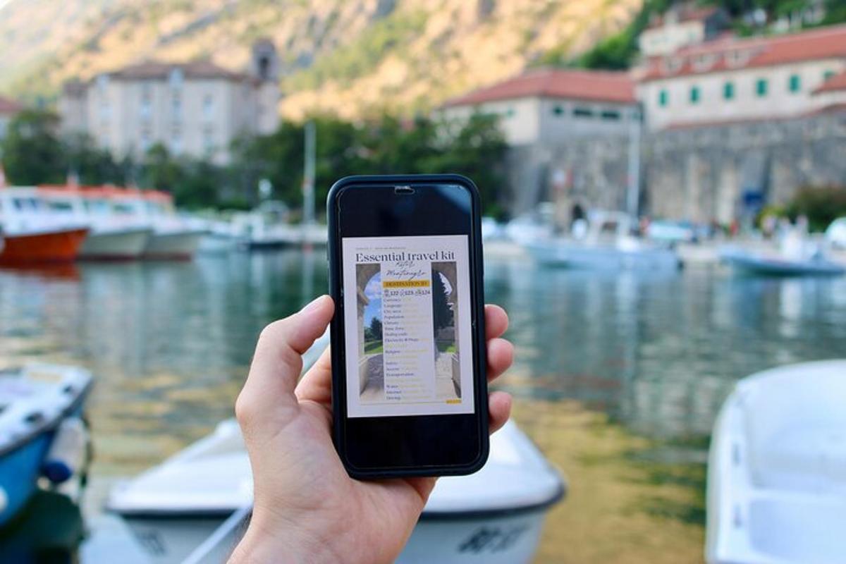 osoba držící mobilní telefon před přístavem