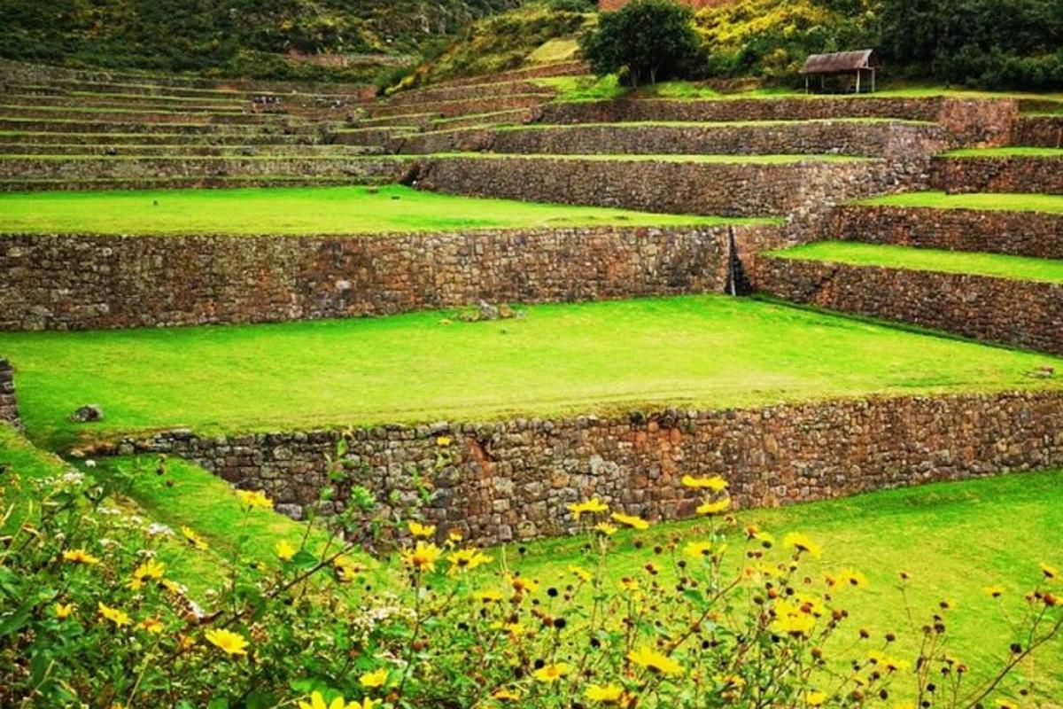 una serie di gradini in pietra con erba verde e fiori