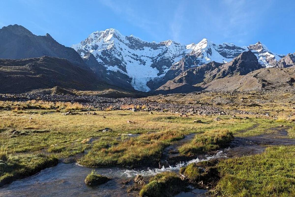 dýrahjörð á akri með snæviþöktum fjöllum