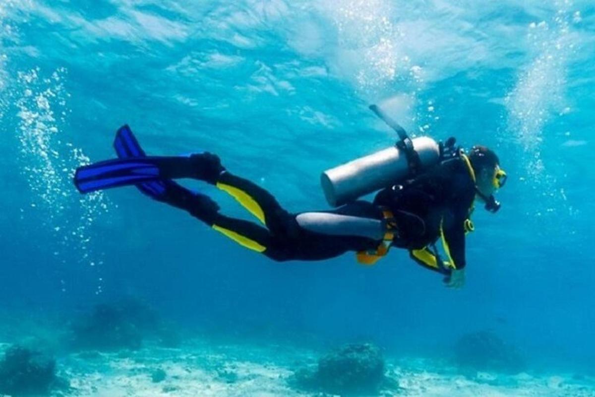 una persona in muta da sub in acqua