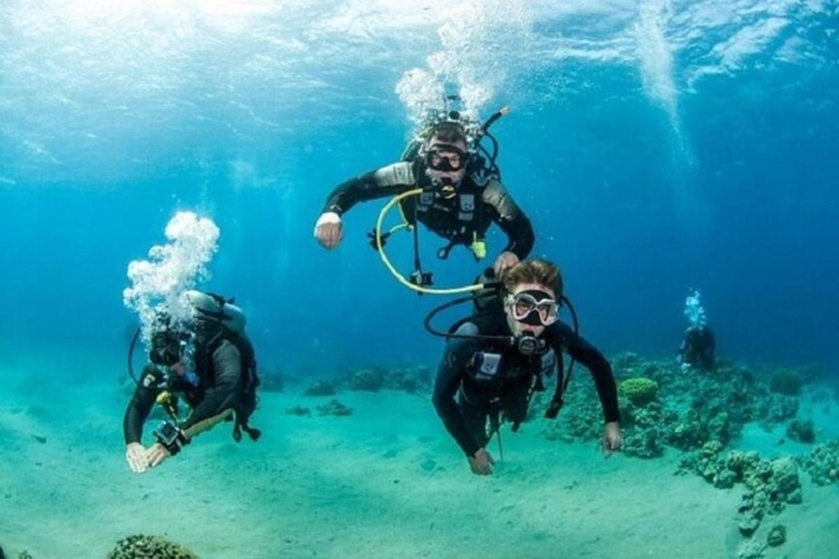 un grupo de personas nadando en el agua