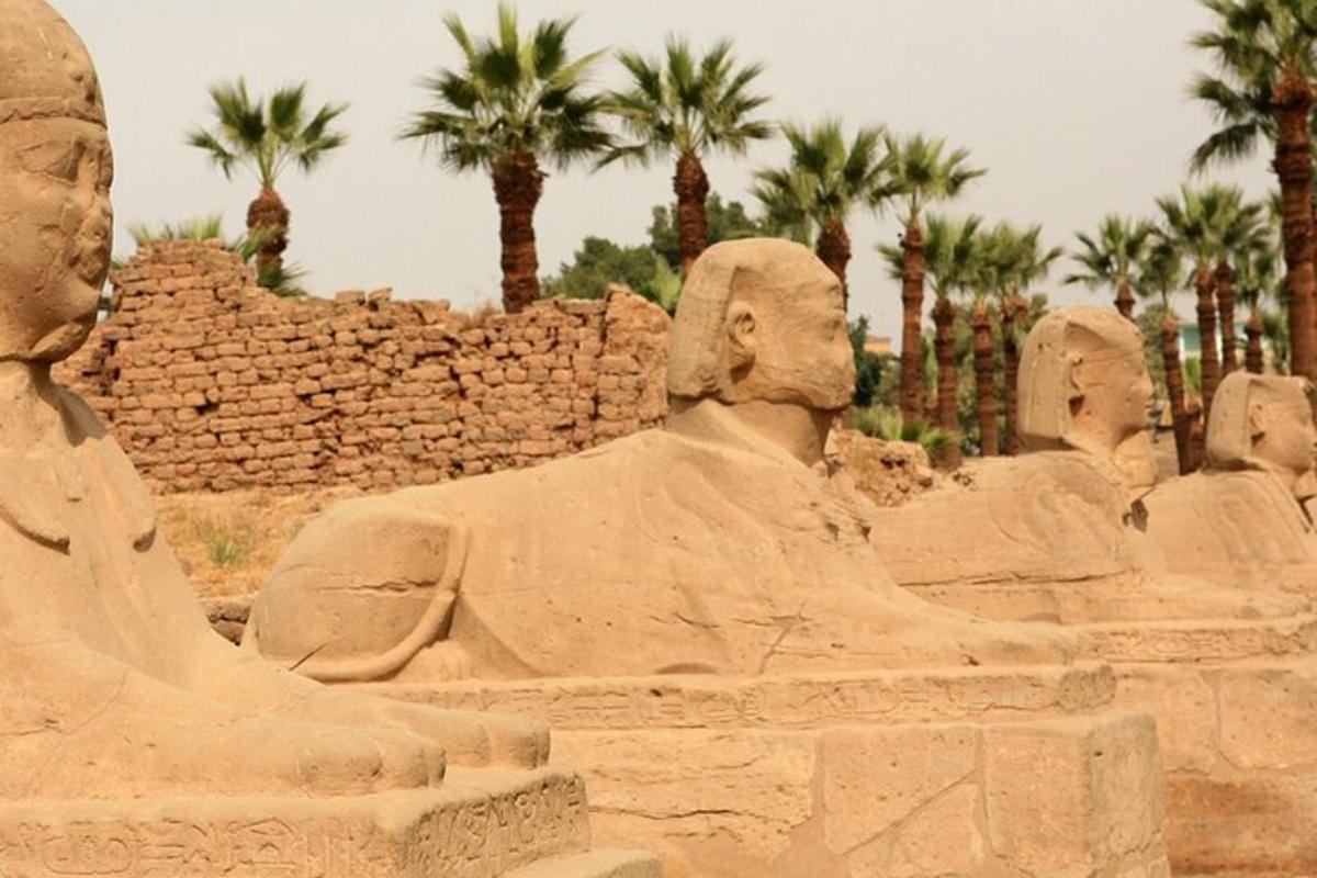 uma grande escultura de areia de um araó reclinado