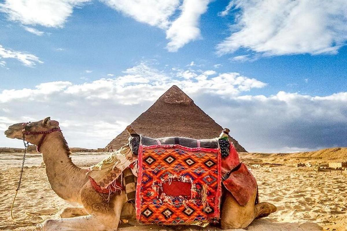 a camel is sitting in front of the pyramids
