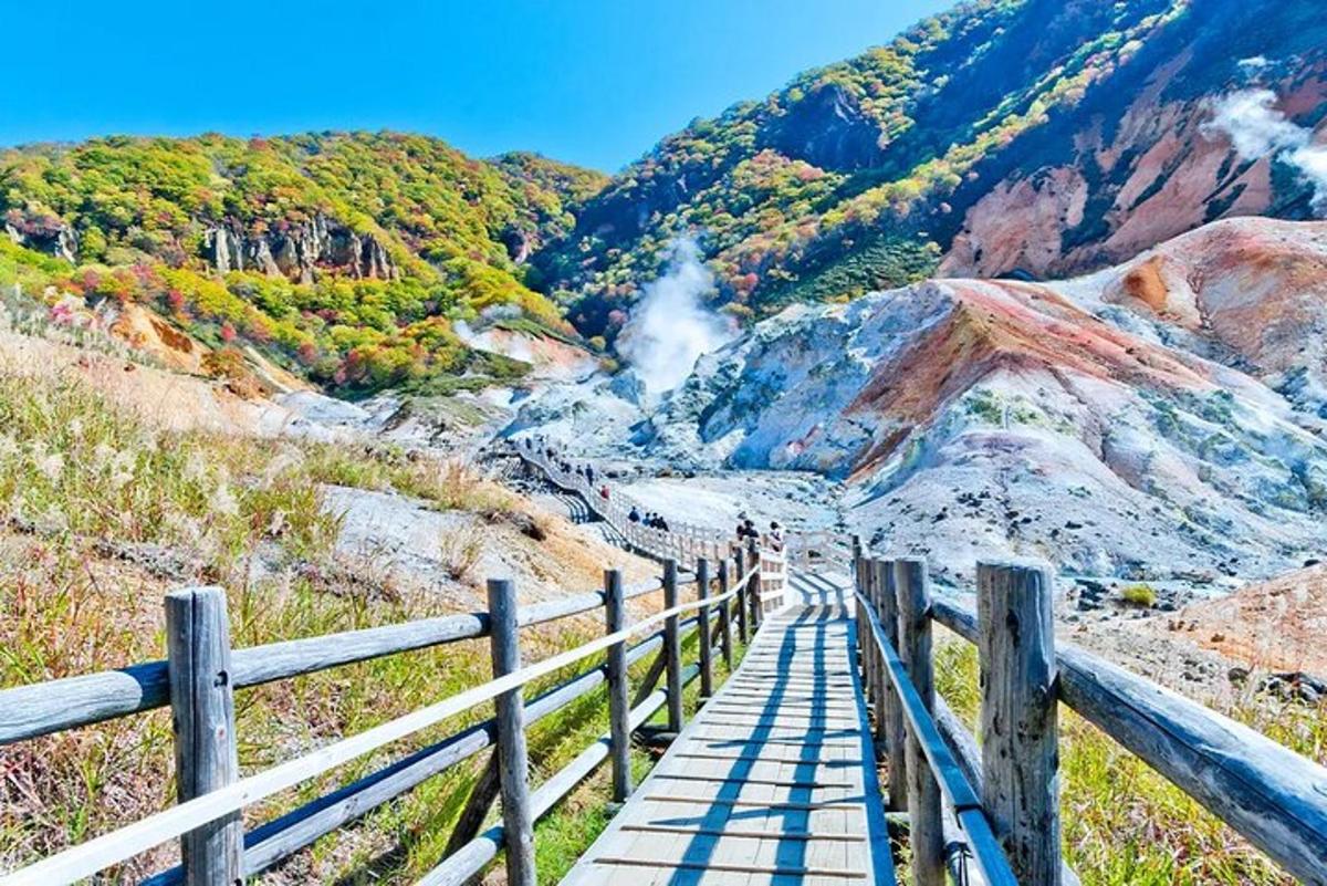 a boardwalk on the side of a mountain