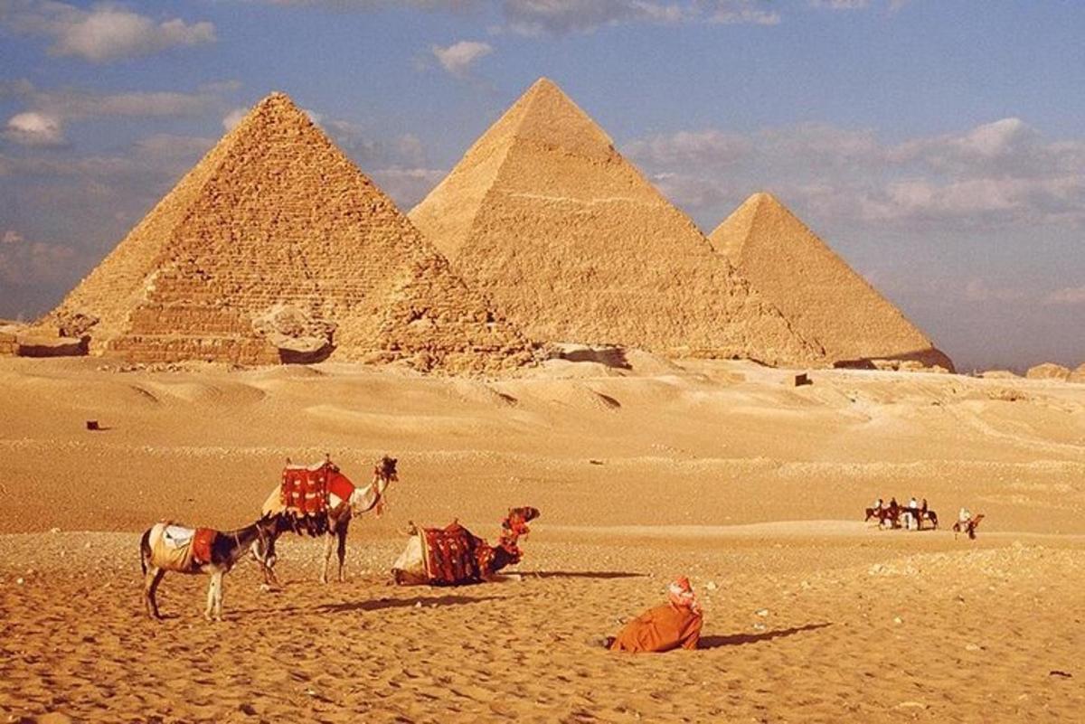 um grupo de camelos em frente às pirâmides