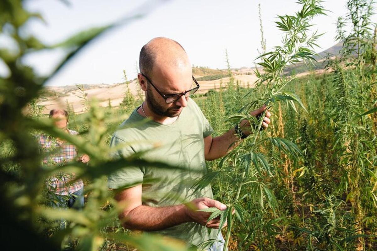un home dret en un camp d'herba alta