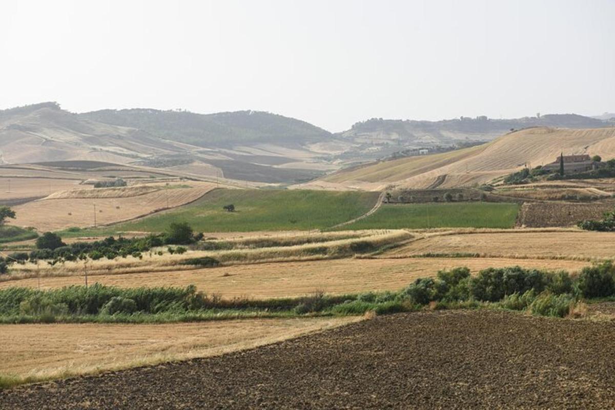 vista d'un camp amb turons al fons