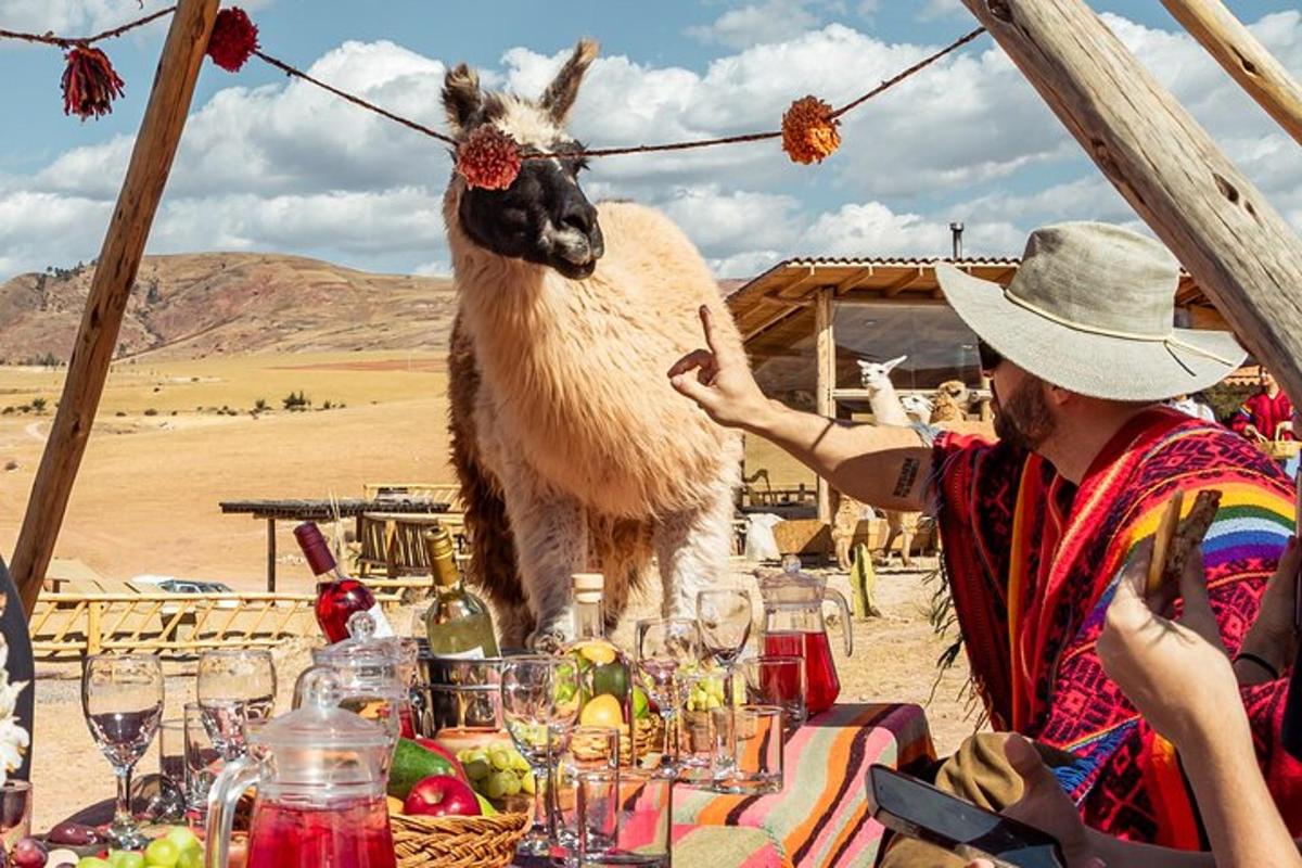 žena stojící vedle stolu s lamou