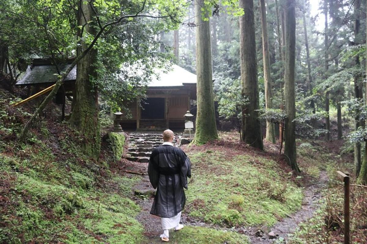 a man walking down a path in the woods