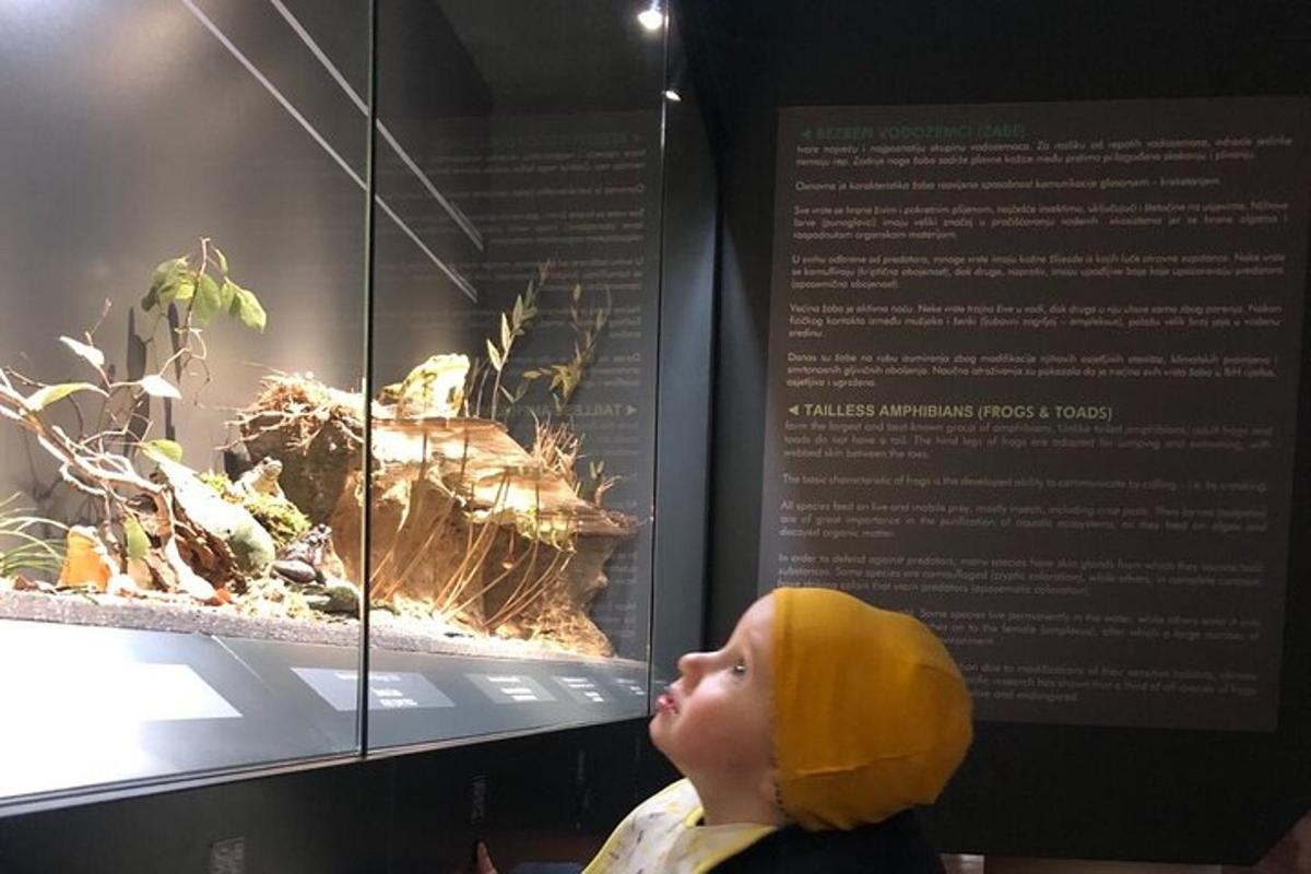 一个小孩正在看展览中的一条鱼
