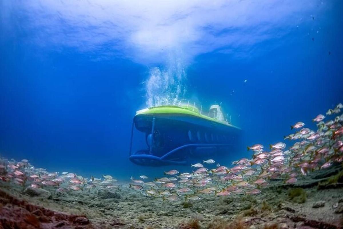 sebuah bot di lautan dengan kumpulan ikan