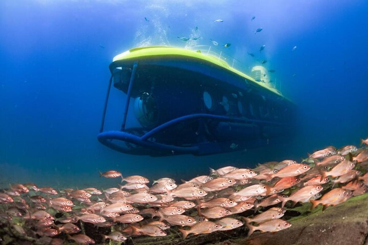 una barca con uno stormo di pesci nell'acqua