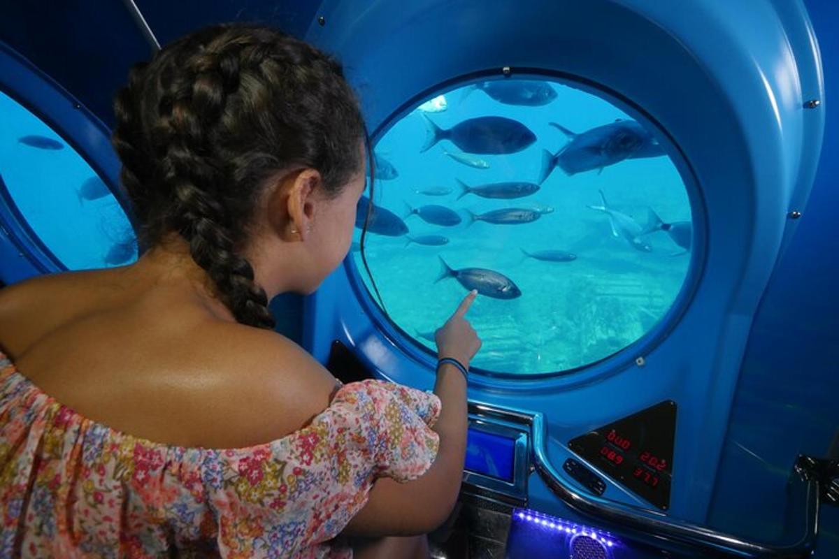 una ragazza che guarda i pesci in un acquario