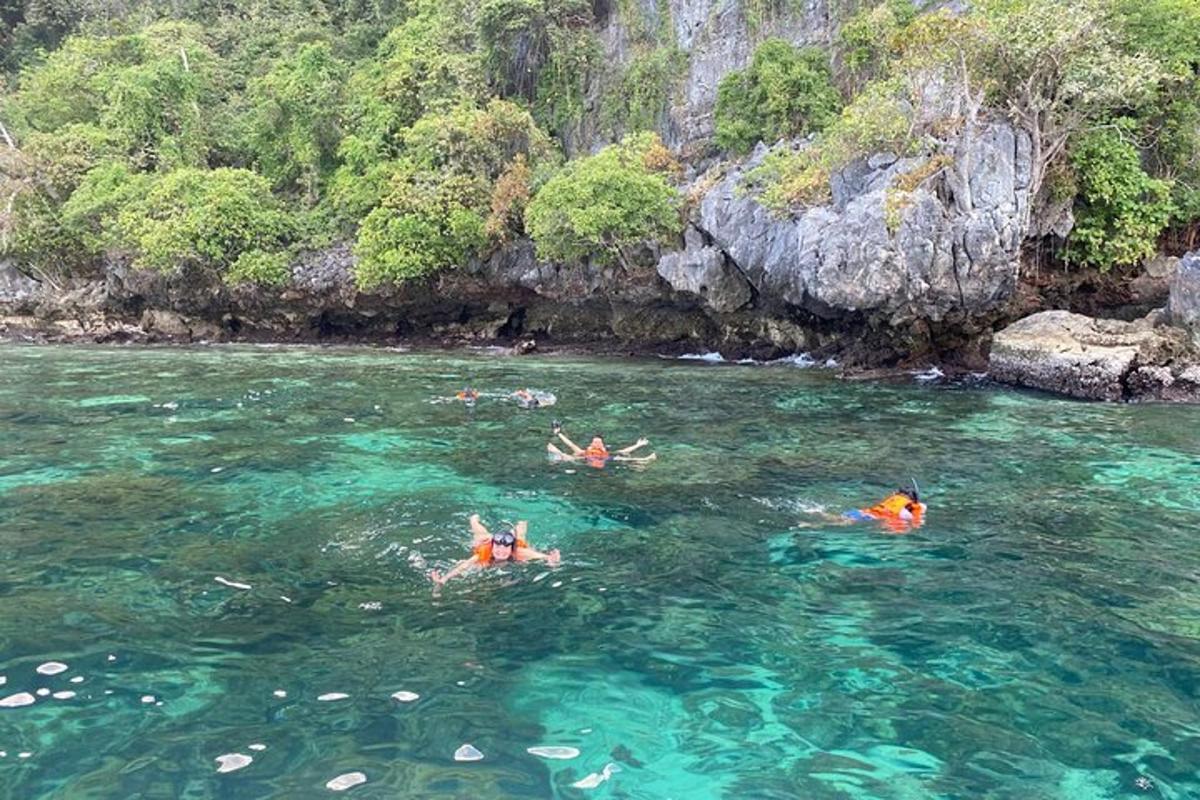 eine Gruppe von Menschen, die im Wasser in der Nähe eines Berges schwimmen