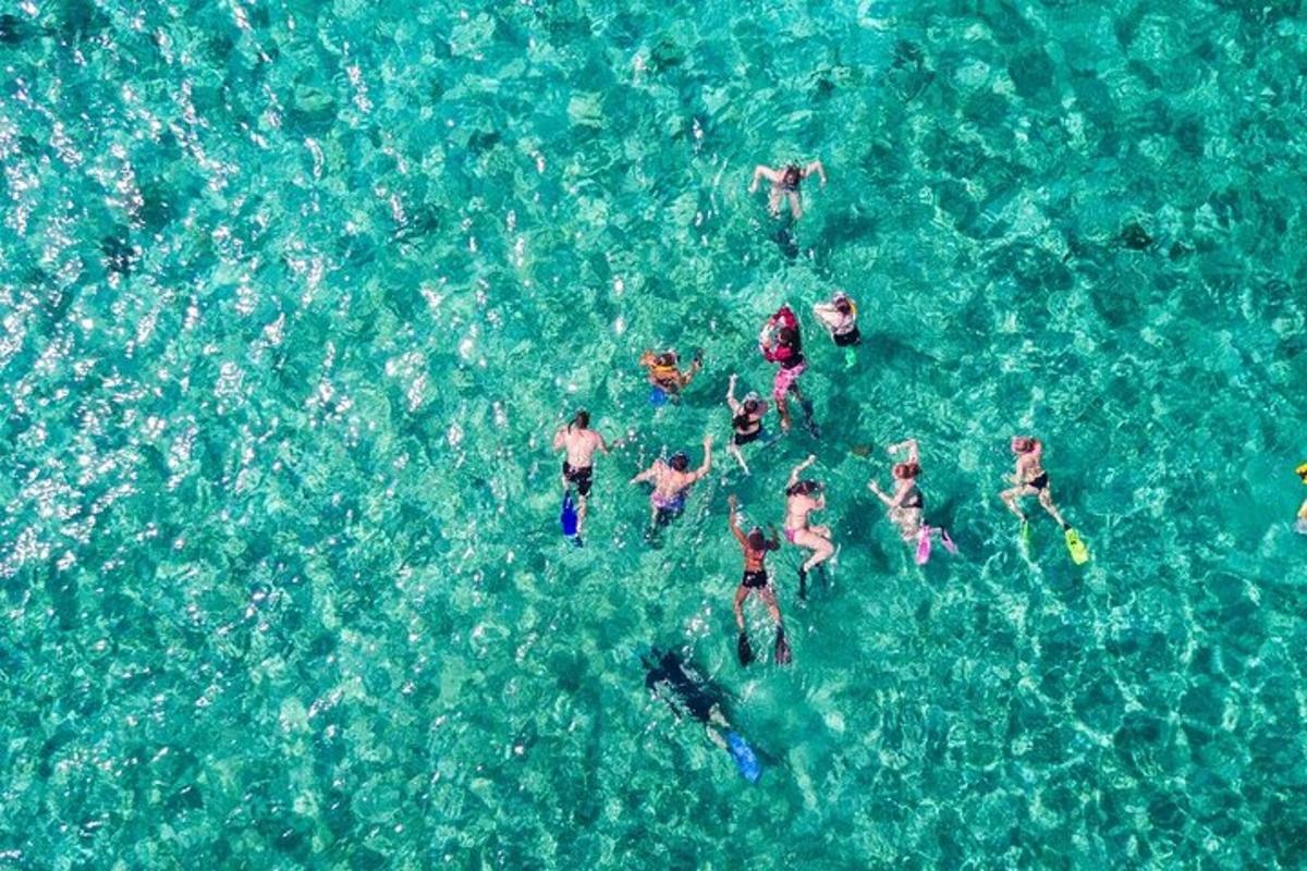 un grupo de personas nadando en el agua