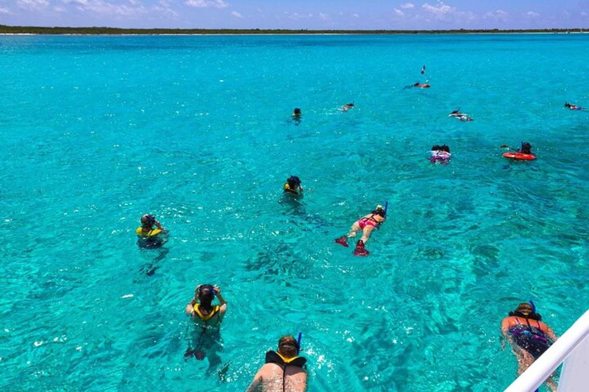 Un grupo de personas nadando en el agua azul.