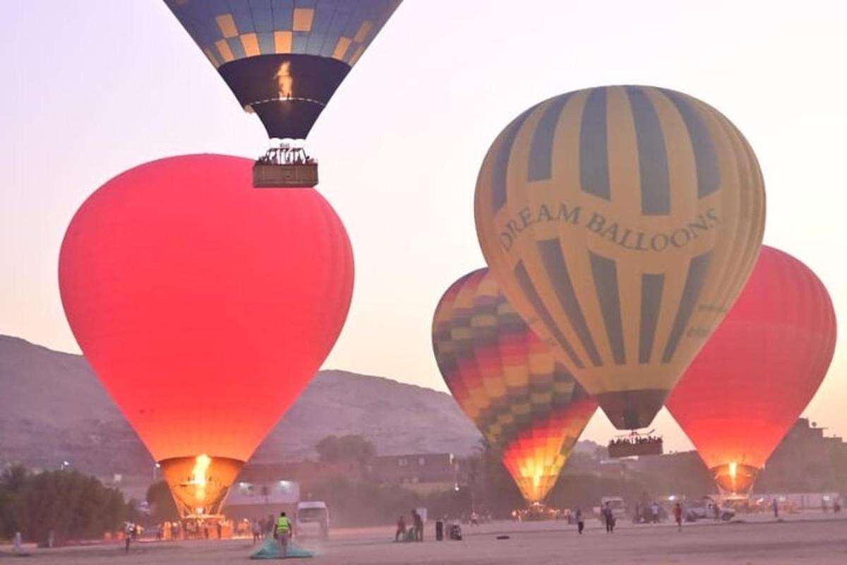 un grup de globus aerostàtics en un camp