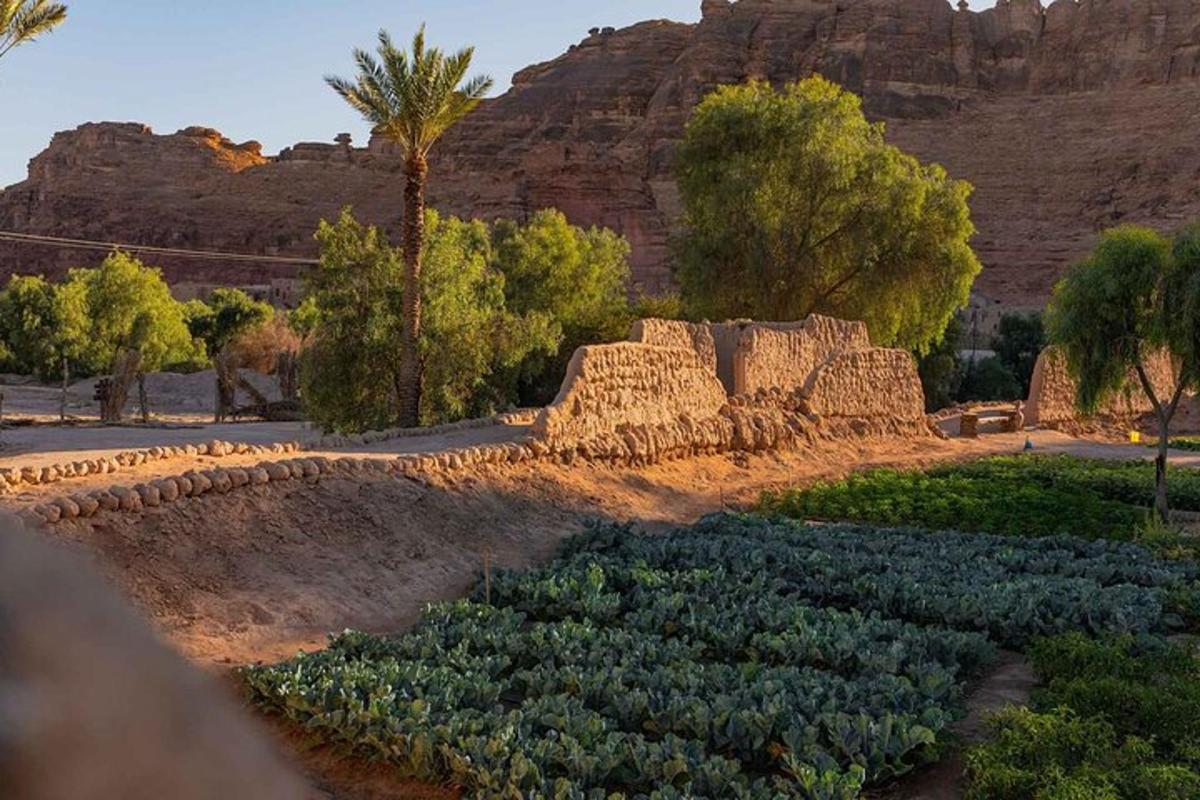 a vegetable garden in the middle of a mountain