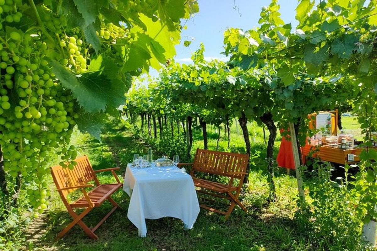 ein Tisch und zwei Stühle in einem Hof mit Trauben