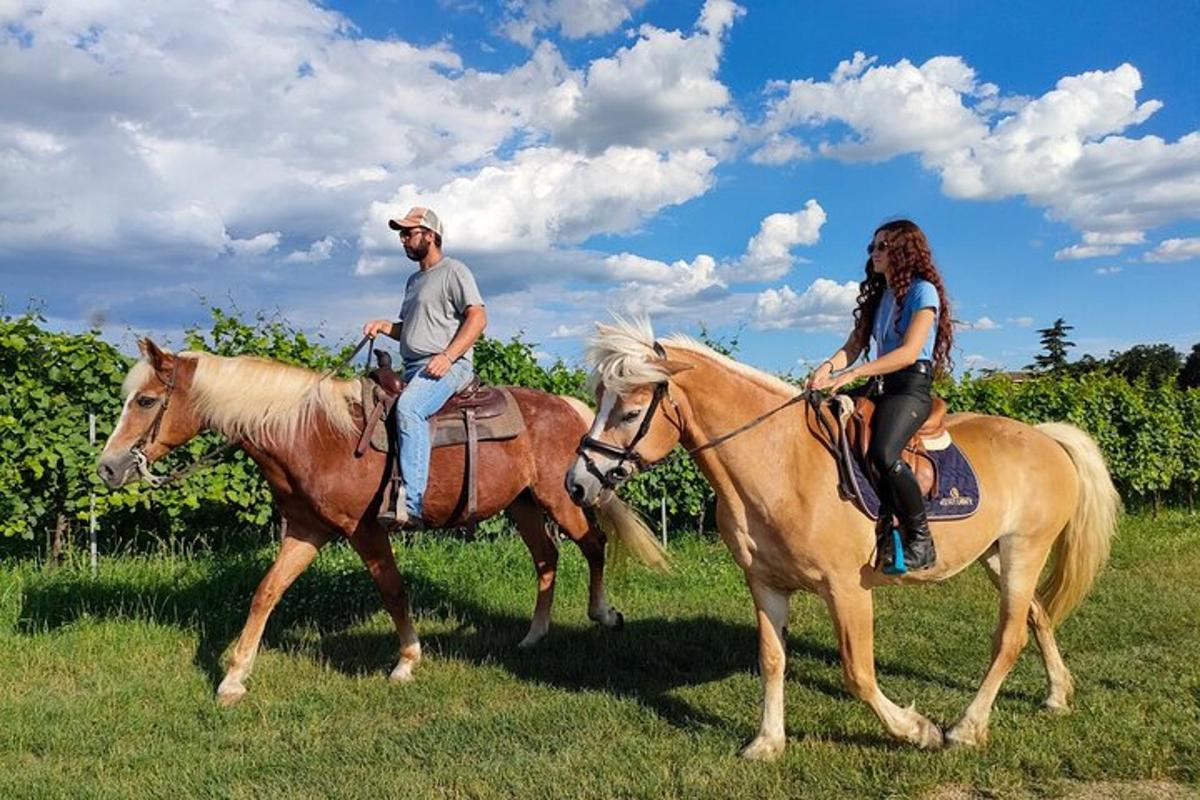 ein Mann und eine Frau reiten auf einem Feld