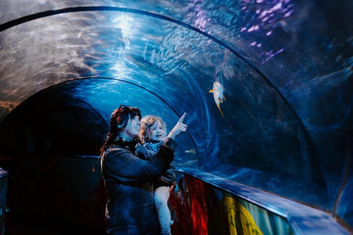 a woman pointing at a fish in an aquarium