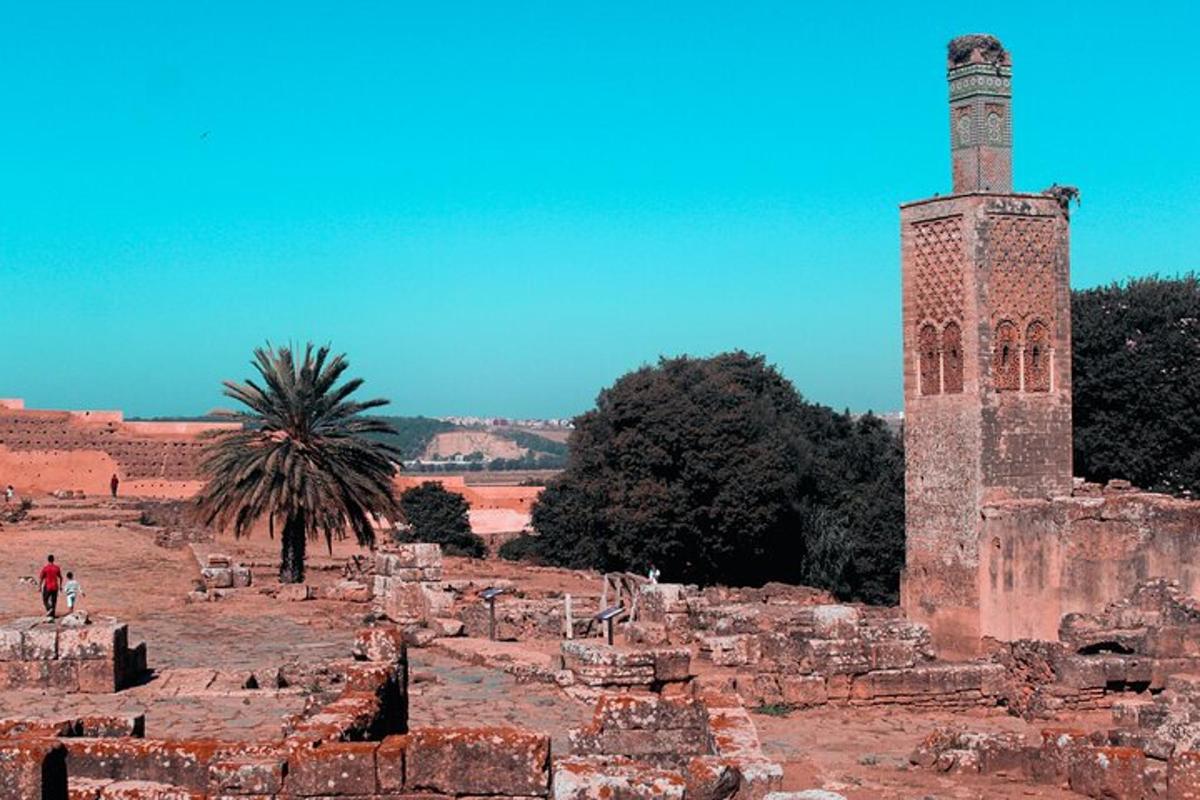 uma torre alta no meio de um campo