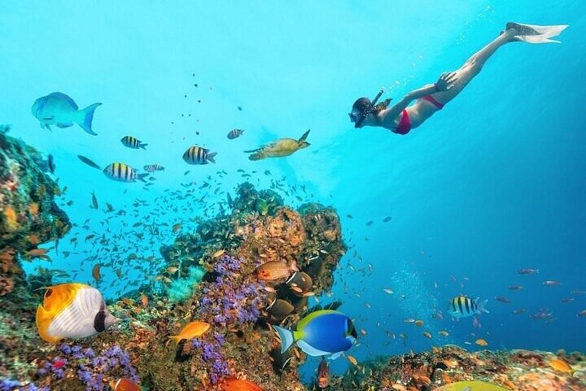 seorang wanita berenang di atas terumbu karang dengan ikan
