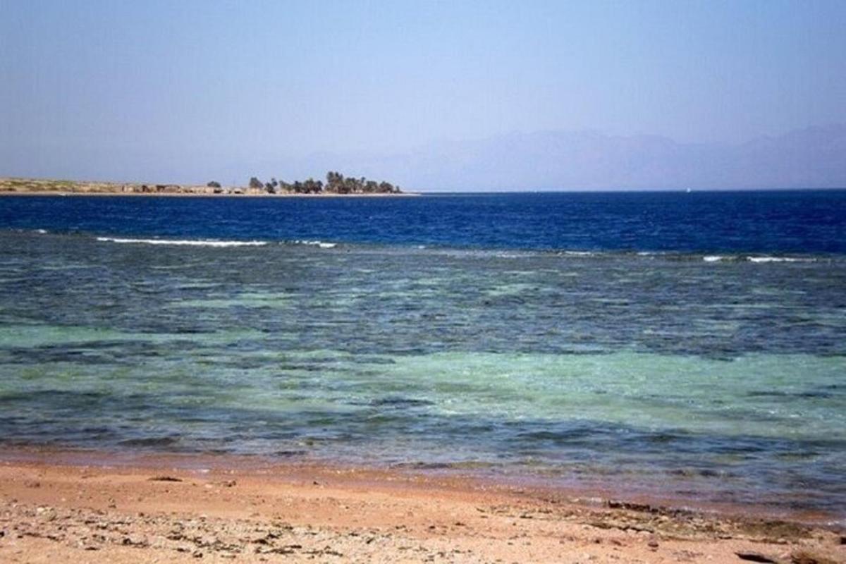 μια παραλία με ένα υδάτινο σώμα με δέντρα στο βάθος