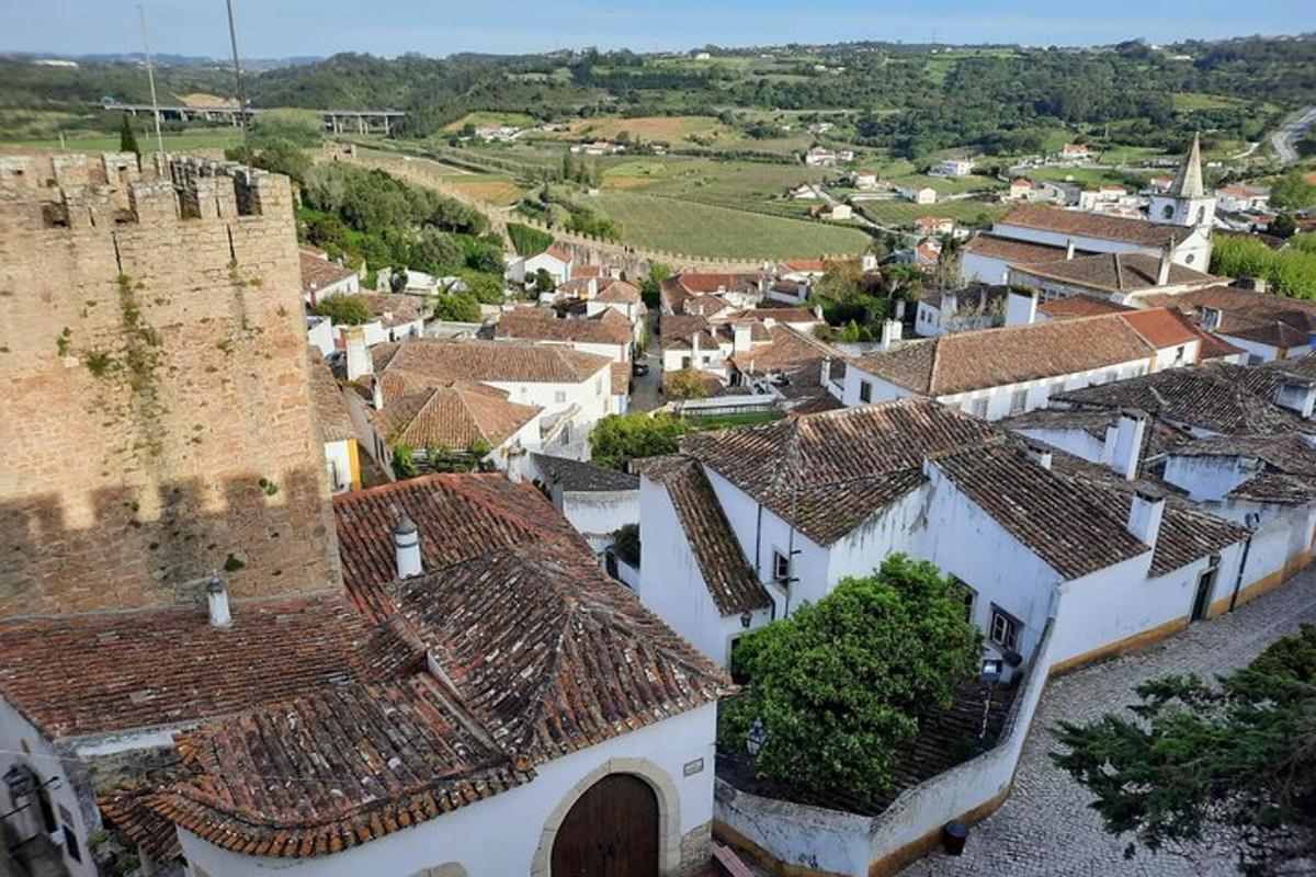una vista aerea di un villaggio con edifici