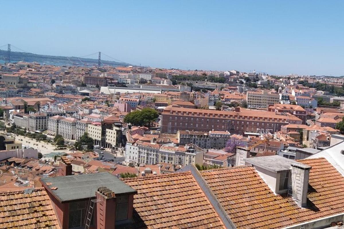 Una vista de una ciudad con edificios y tejados.