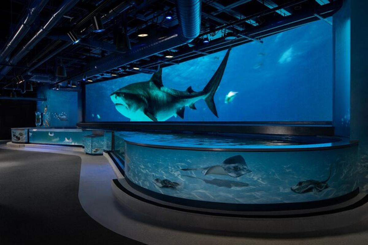 Attraction picture 4