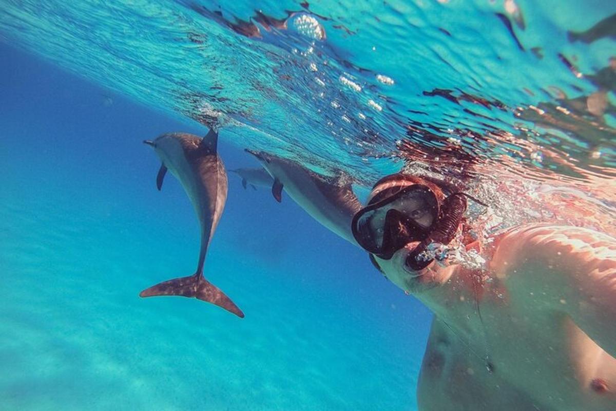 una persona sta nuotando nell'acqua con i delfini