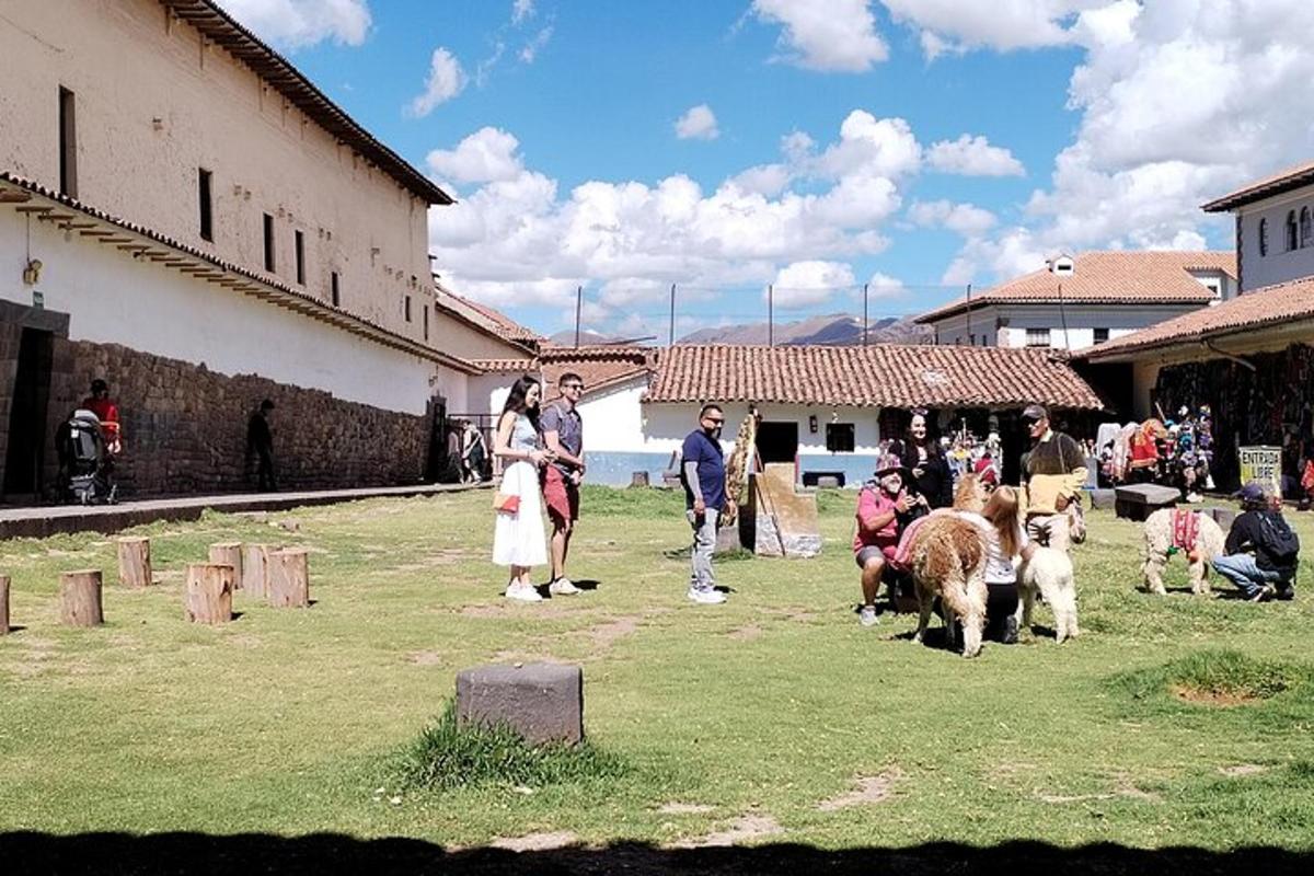 grupp inimesi, kes seisavad loomadega põllul