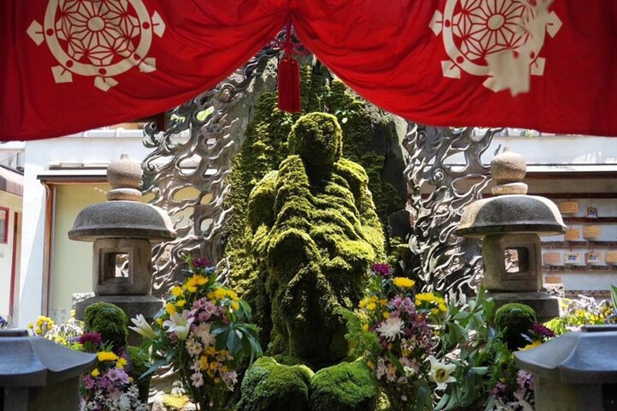 una mostra di piante e fiori in un giardino