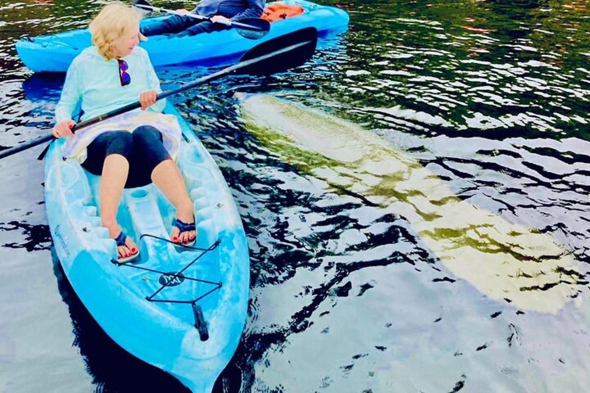 một cậu bé trong chiếc thuyền kayak màu xanh trên mặt nước