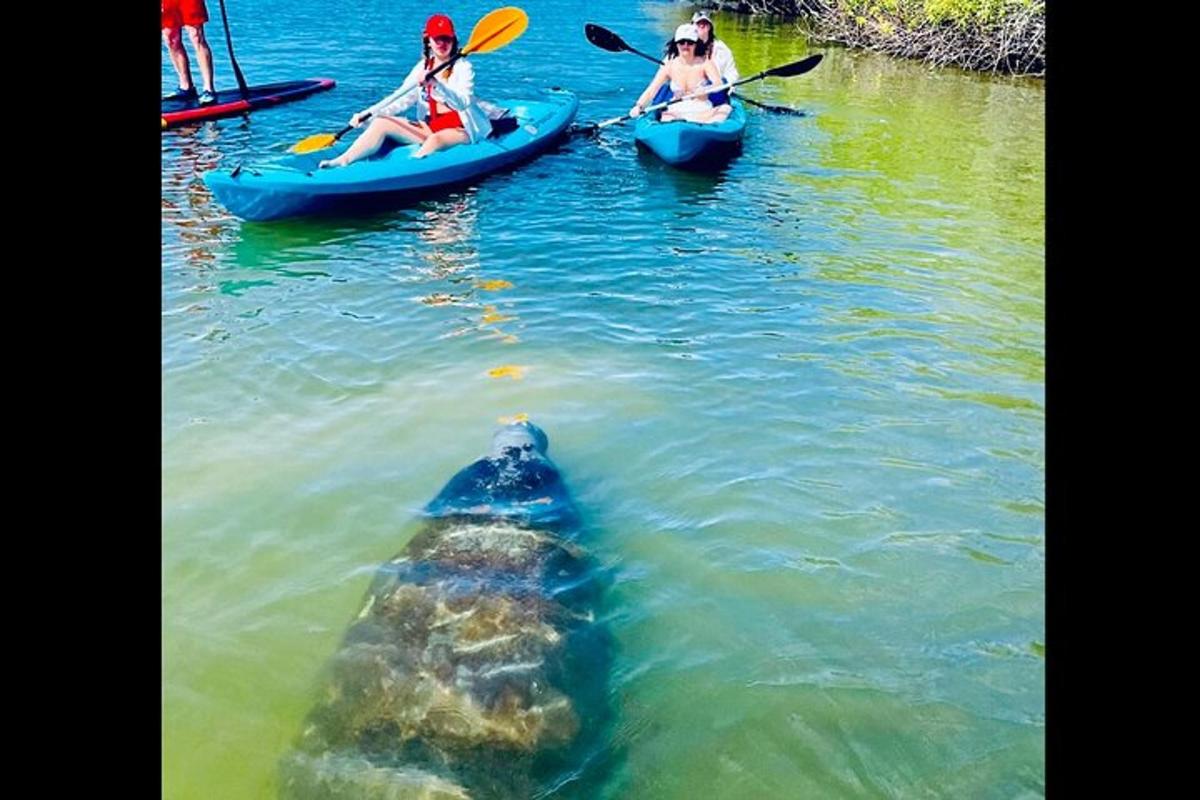 seekor beruang di dalam air dengan dua orang dalam kayak